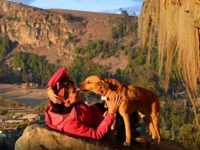 “Linda, la perra viajera”, el libro de la primera perra criolla escritora de Colombia