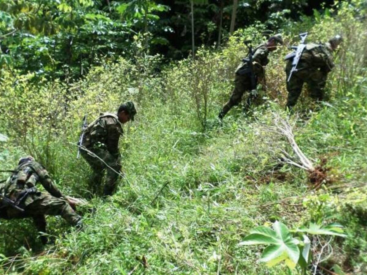 Cerac registra seis acciones de las Farc que violan la tregua de paz