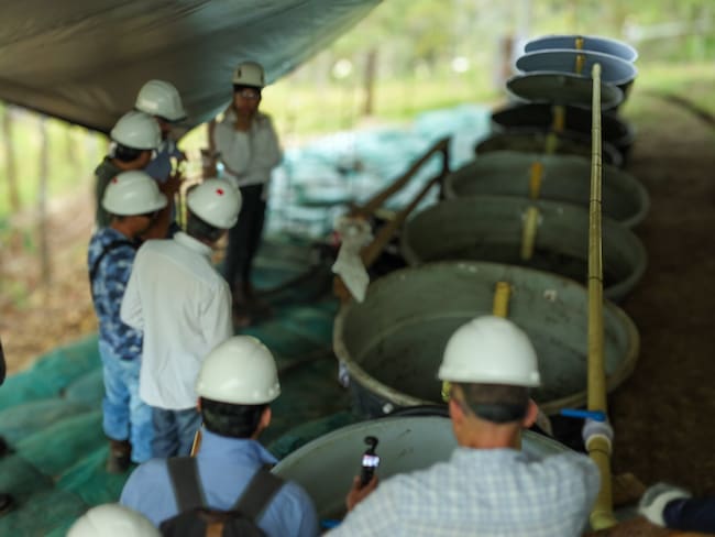 Minera de Cobre Quebradona, AngloGold Ashanti.
