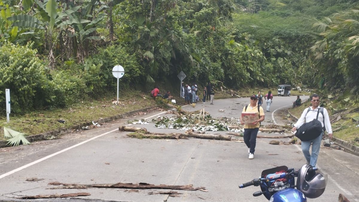 Sigue cerrado el paso entre Risaralda y Chocó: 24 horas de bloqueos en la vía Panamericana