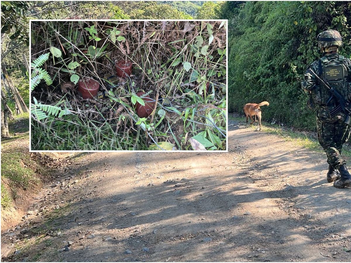 La JEP acredita como víctimas a 11 exintegrantes del Ejército afectados por minas antipersonales
