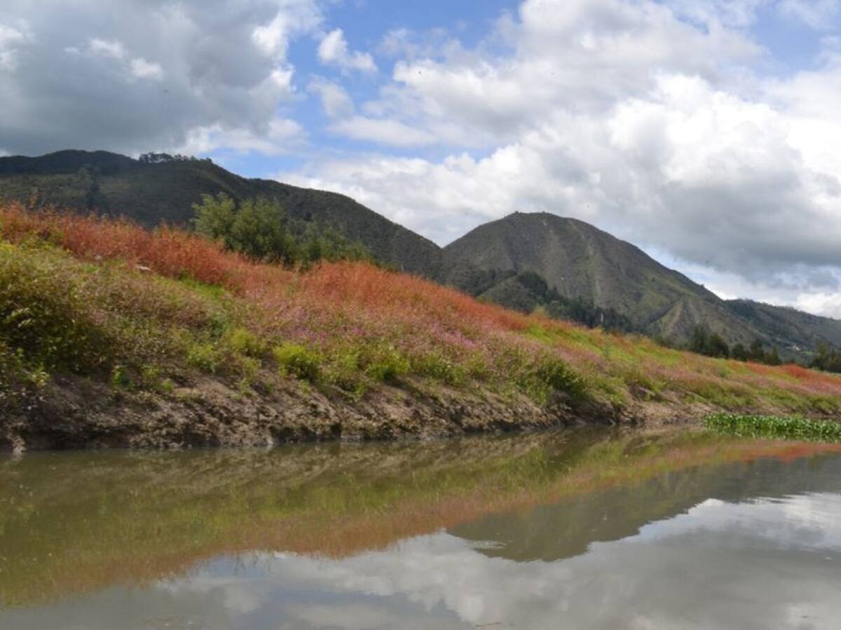 Proyecto minero amenaza el río Neusa, una de las vertientes del río Bogotá