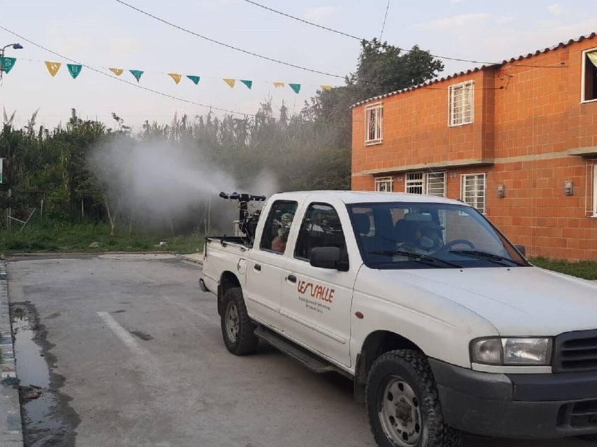 En el Valle 26 muertos por Dengue y más de 13 mil personas infectadas