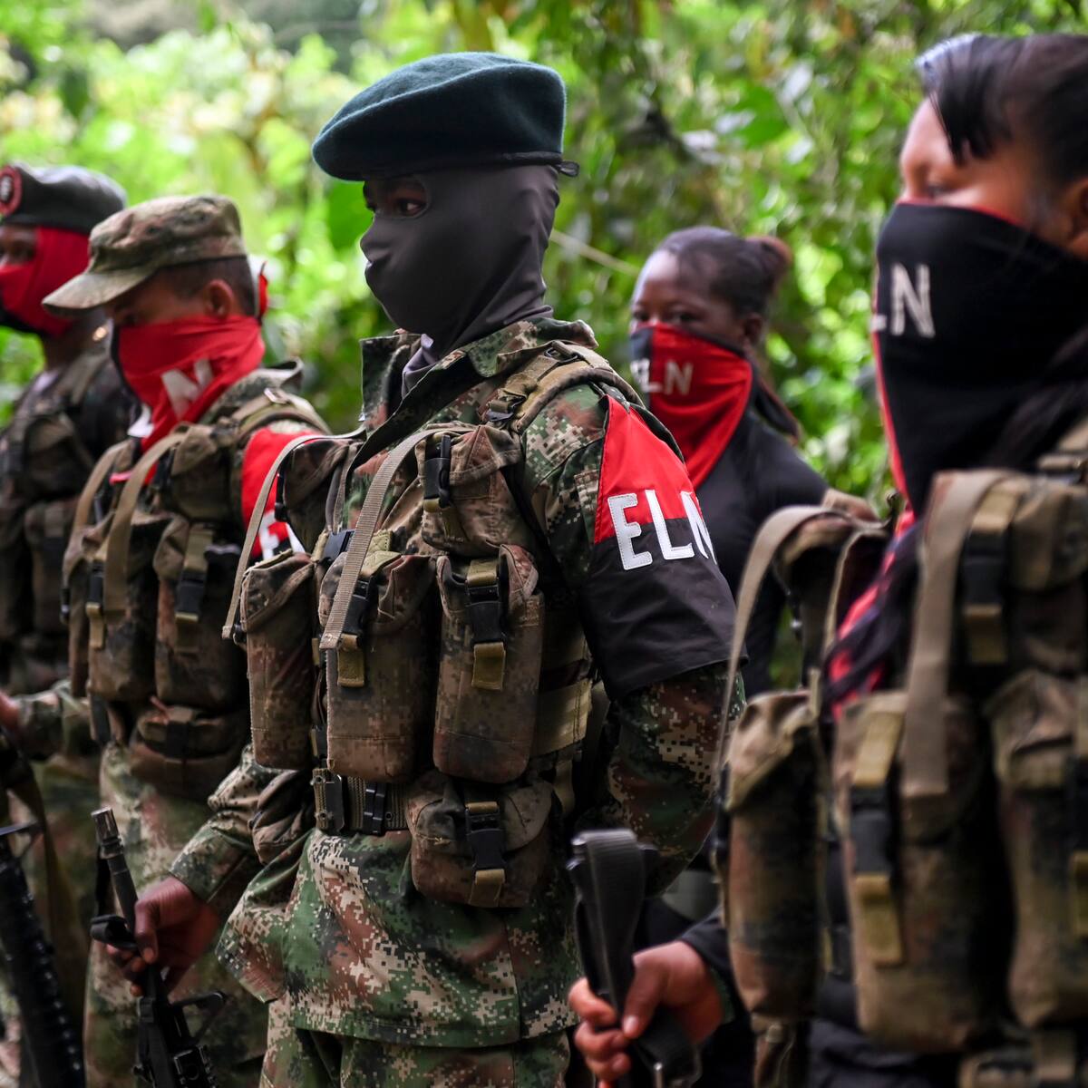 A pocas horas de levantarse el paro armado en Chocó, se reportan combates y desplazados