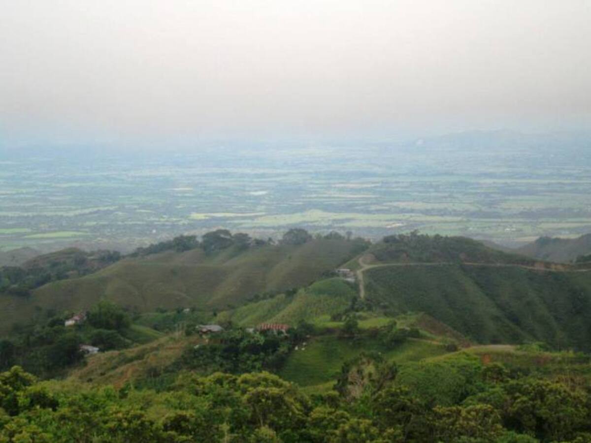 En Alvarado se capacita a la población para prevenir incendios forestales