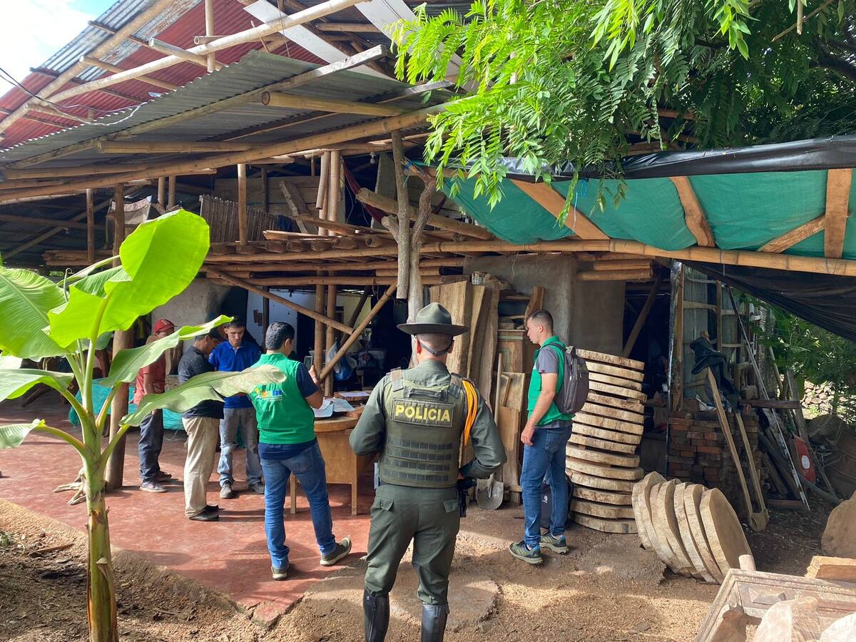 Autoridad ambiental en el Huila, adelantan operativos para preservar el medio ambiente