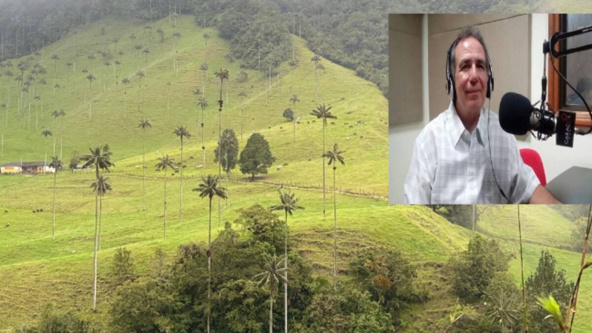 Roberto Restrepo, antropólogo e historiador y la palma de cera