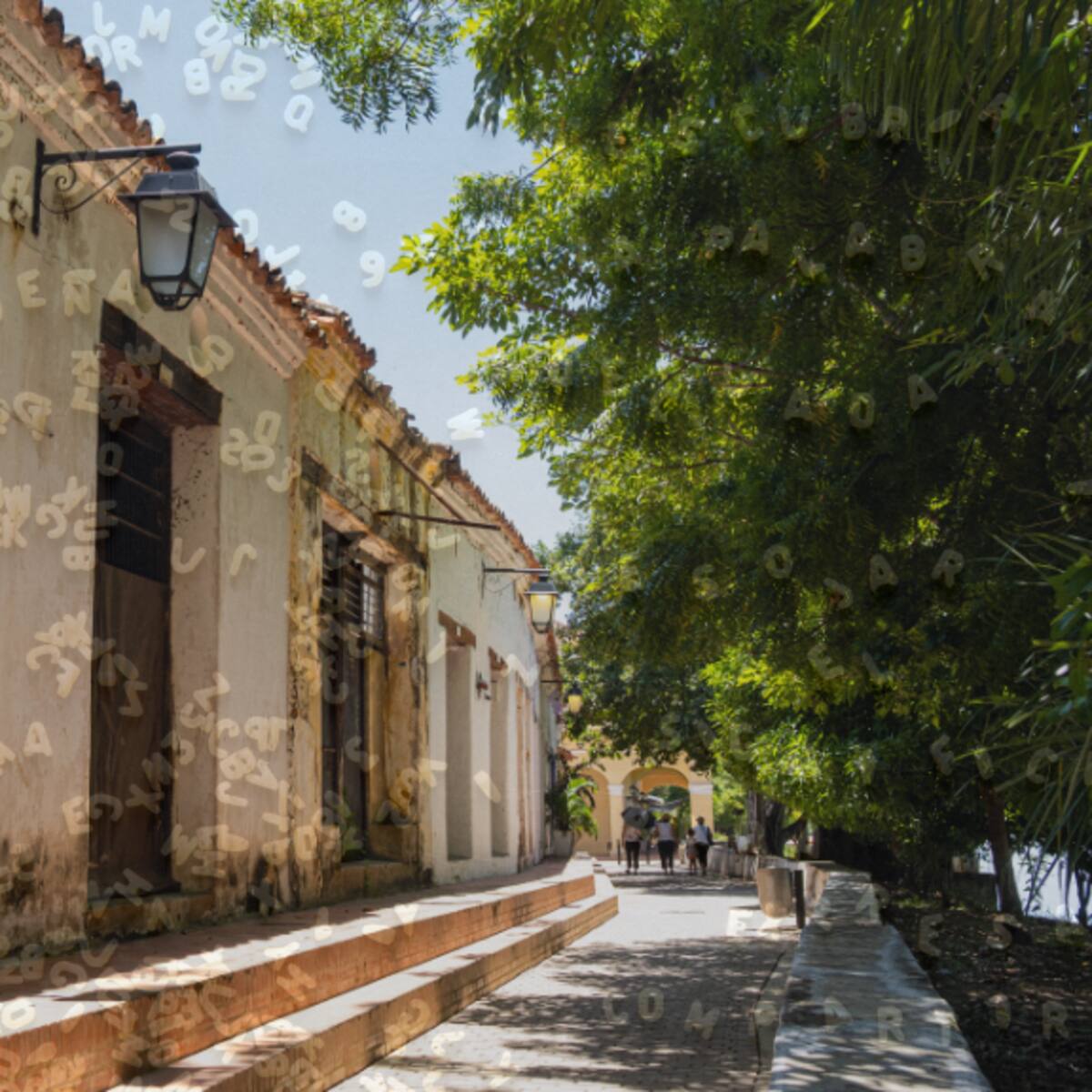 El municipio con el nombre más largo del Magdalena tiene 24 letras: Queda a 315 KM de Santa Marta
