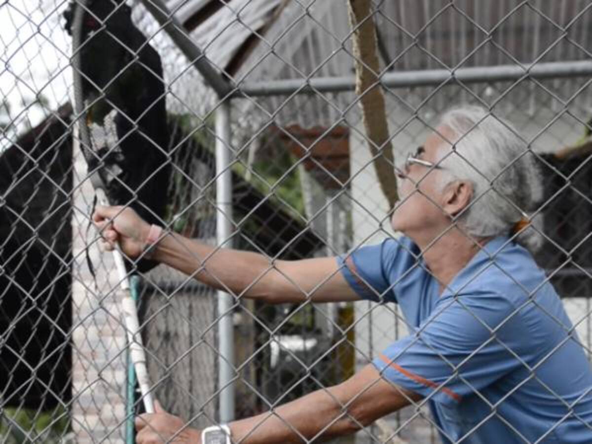 Fue incautada fauna silvestre en zona rural de Pereira