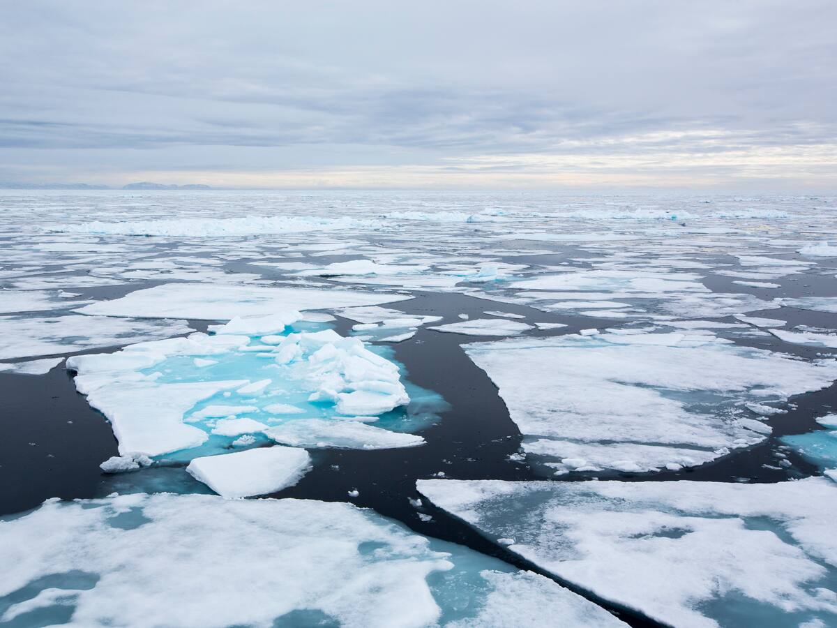 Nuevo estudio revela que el Ártico podría quedar sin hielo en 2027