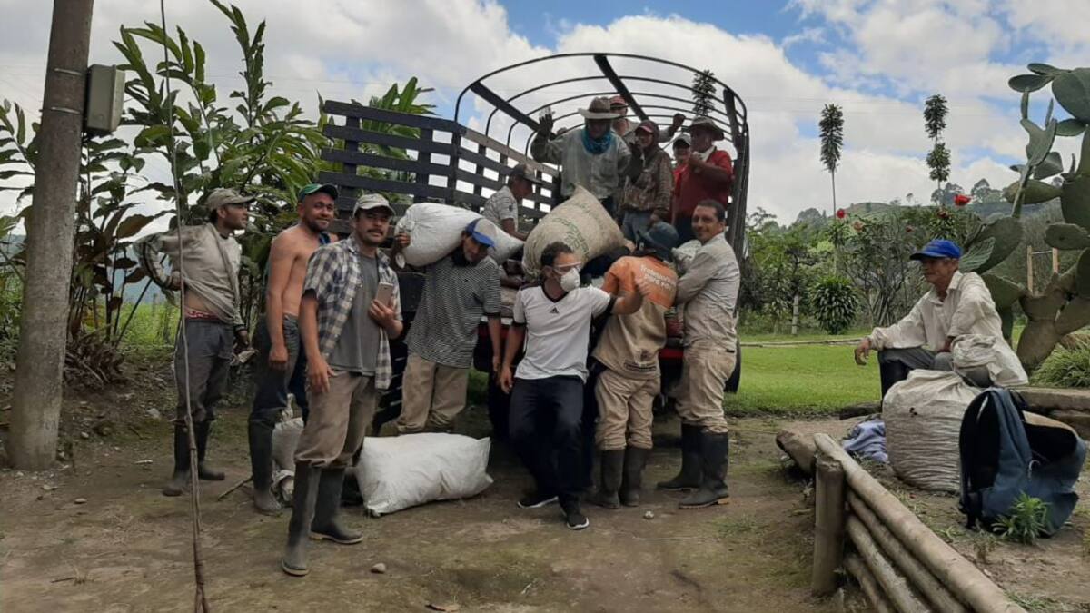 Día Nacional del Café, reconocimiento a los caficultores del Quindío