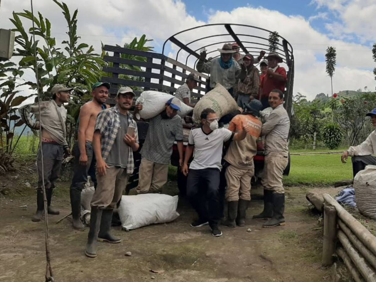 Día Nacional del Café, reconocimiento a los caficultores del Quindío