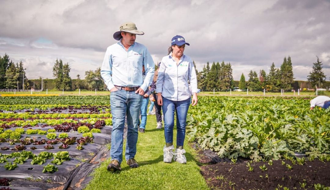 En uno de los Proyectos Integrales de Desarrollo Agropecuario y Rural