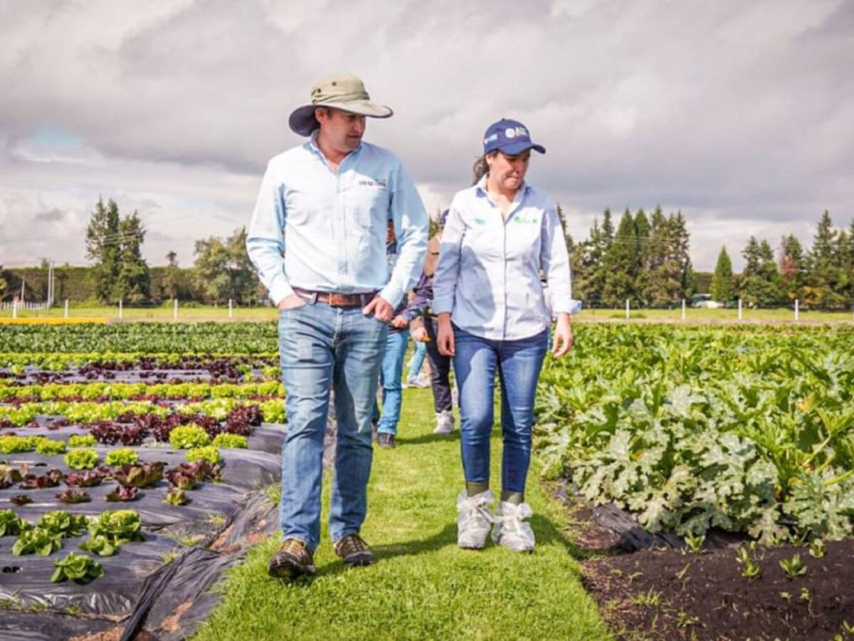 Van 196 proyectos de desarrollo agropecuario cofinanciados por ADR