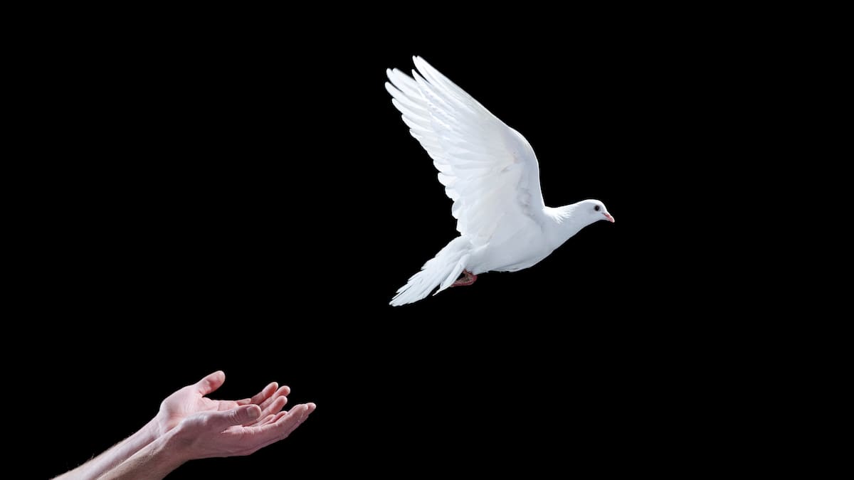 Paz total: entre ceses al fuego e inicio de conversaciones