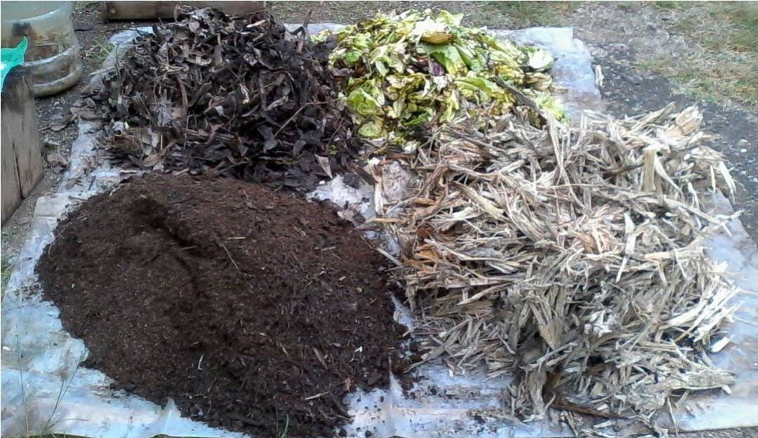 Elementos básicos para cultivos en casa