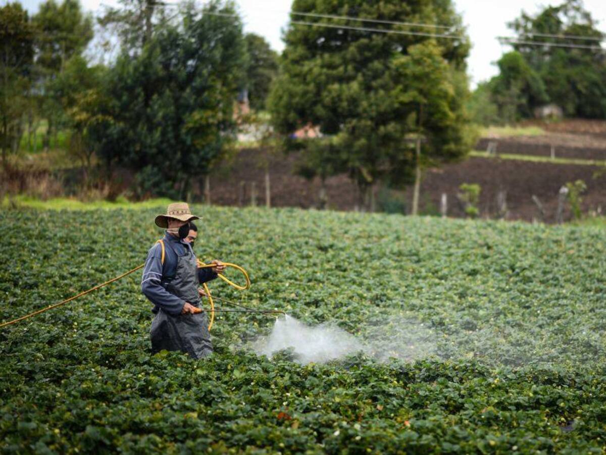 Secretaría de Salud de Dosquebradas busca garantizar la salud de los campesinos
