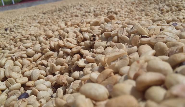 Juan Valdez se una a la celebración de los 50 años d el Comité de Cafeteros del Quindío.