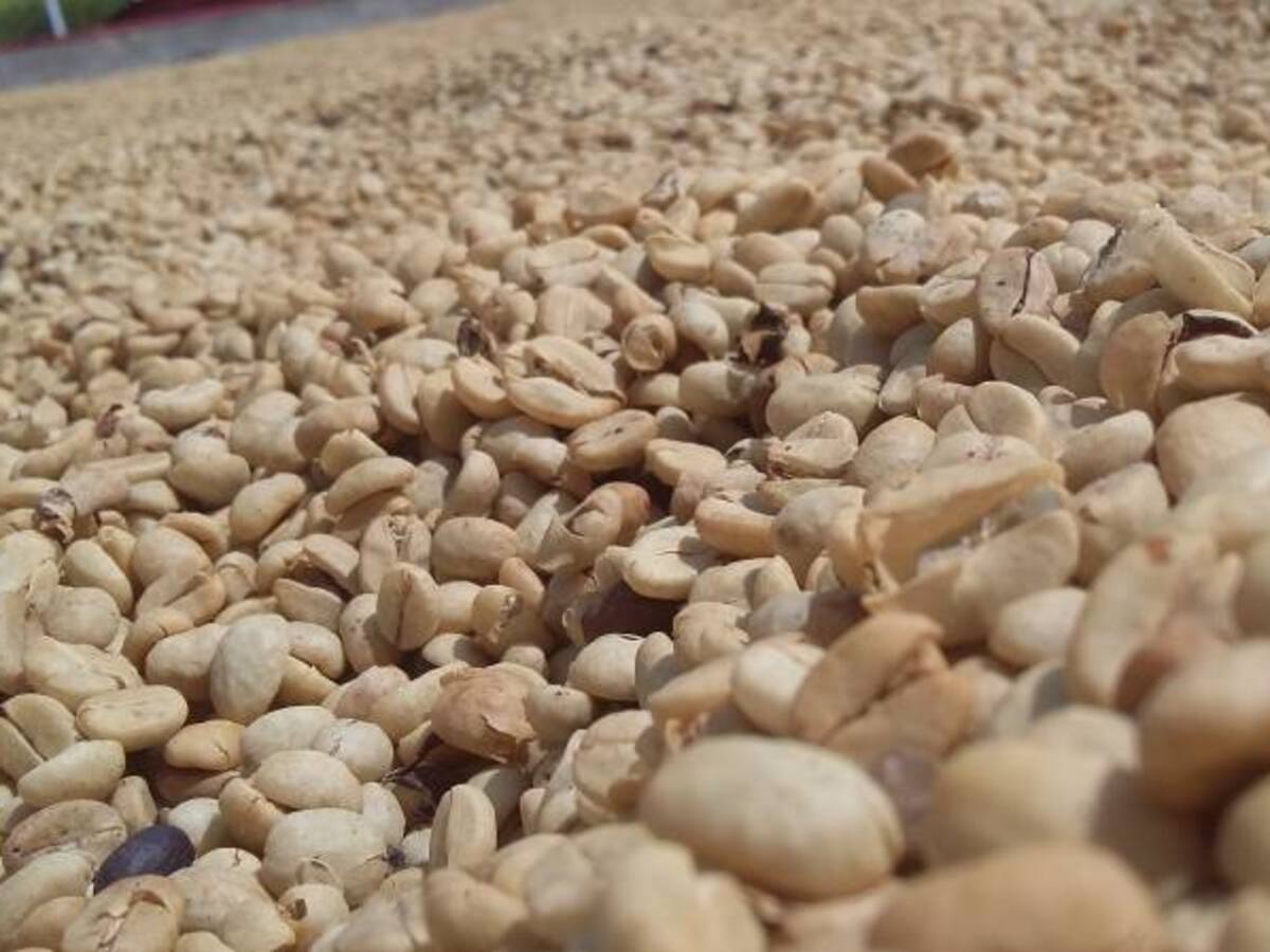 Juan Valdez comercializa edición especial de café del Quindío