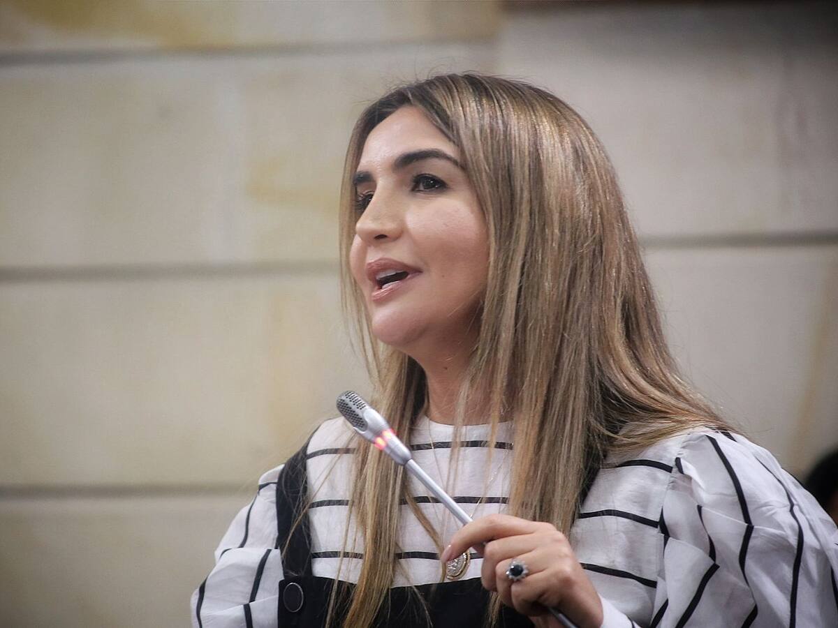 Aprueban proyecto de ley para prevenir acoso sexual con ponencia de Nadia Blel