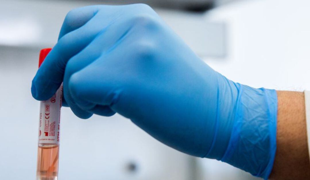 Imagen de referencia