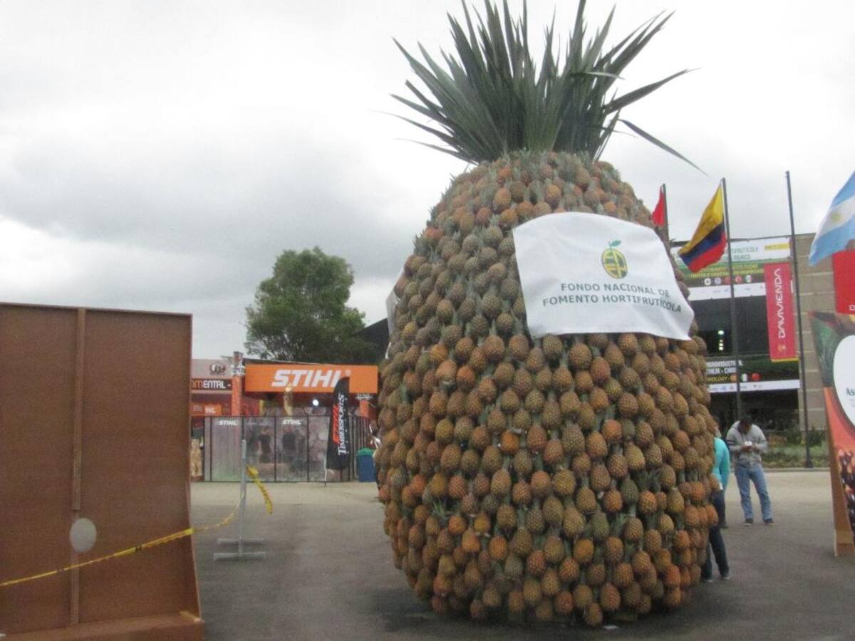 Título de la imagen