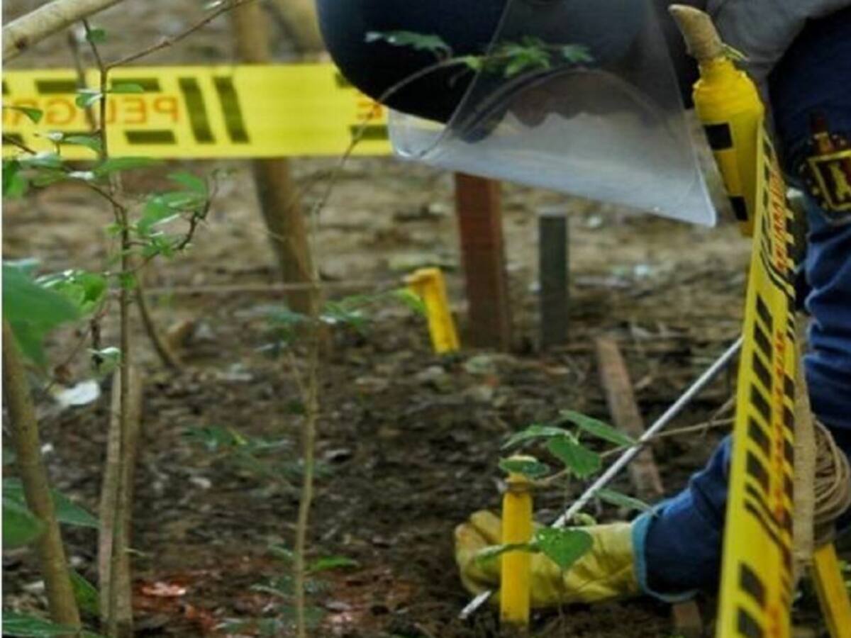 Grupos de desminado llegaran a Nariño