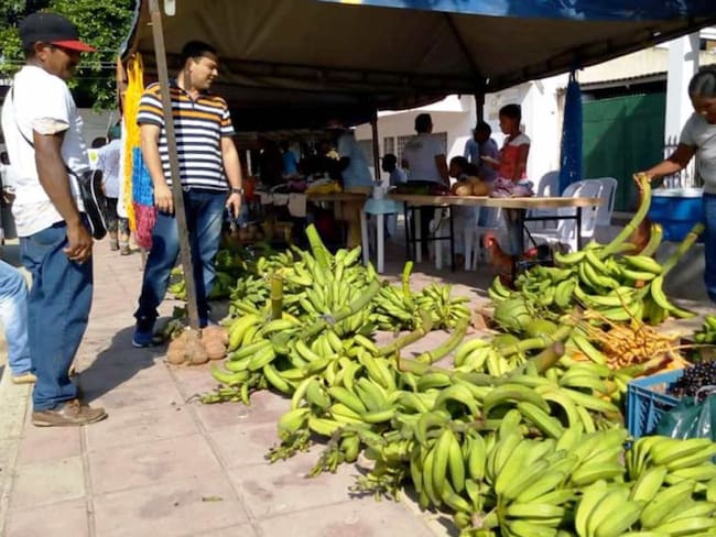 Regresa el mercado campesino de Arjona Bolívar
