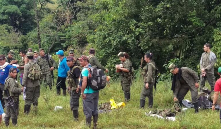 Guerrilleros de las Farc