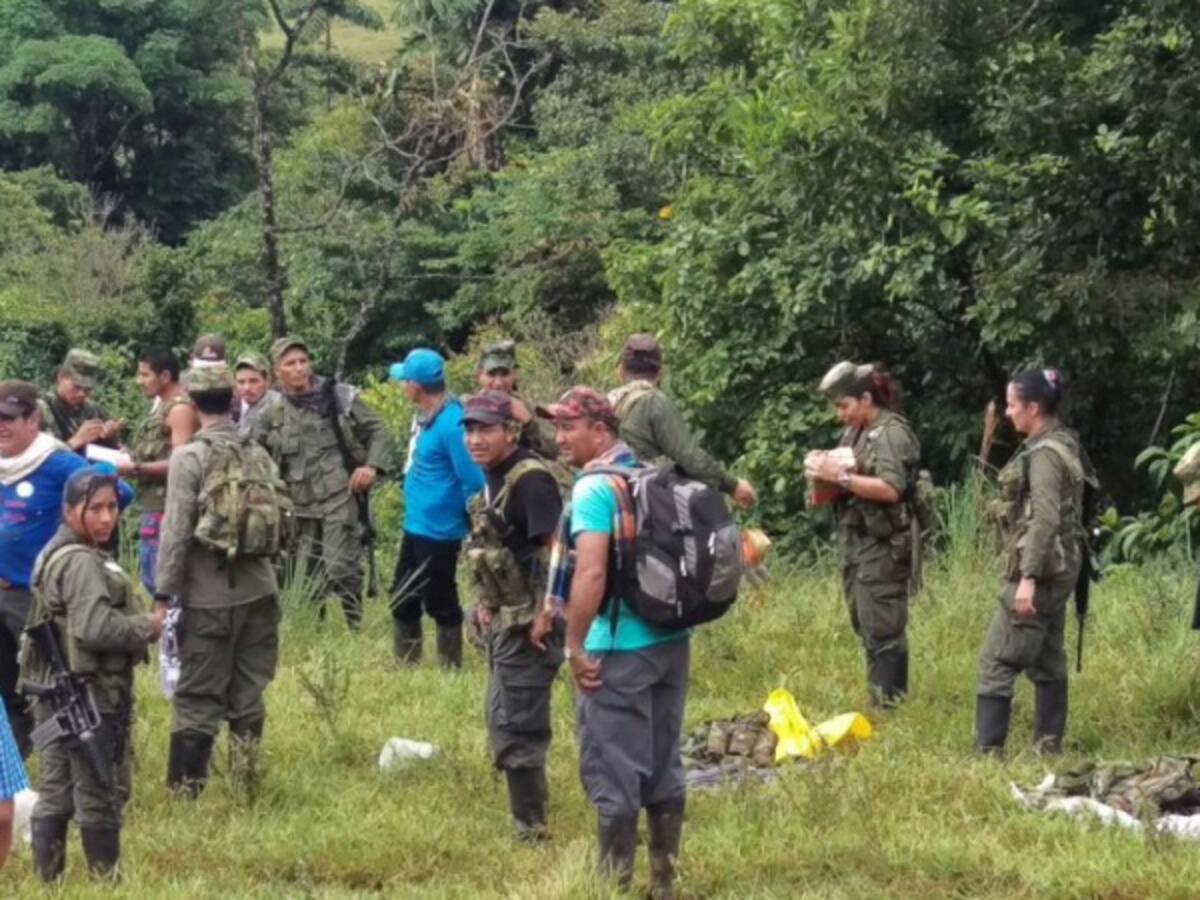 Nueve disidentes de las Farc muertos en combates en Guaviare