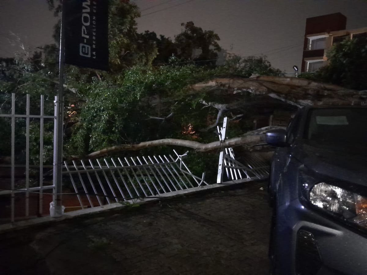 Vendaval en Barranquilla provoca emergencias en diferentes zonas de la ciudad