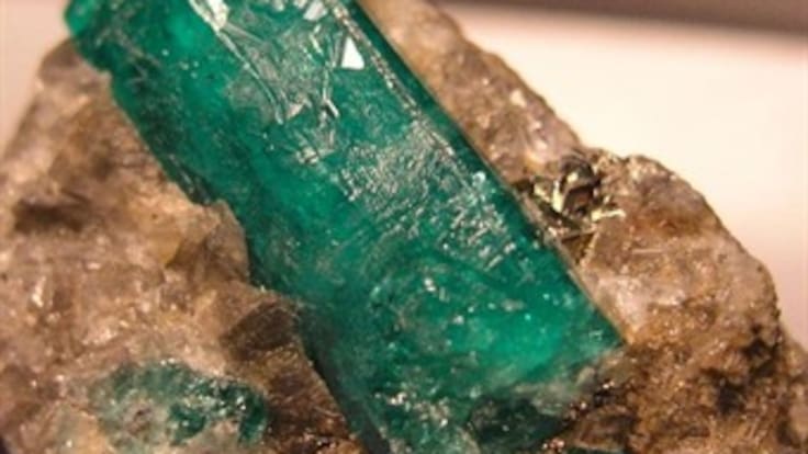 El oro verde invade un solo pabellón