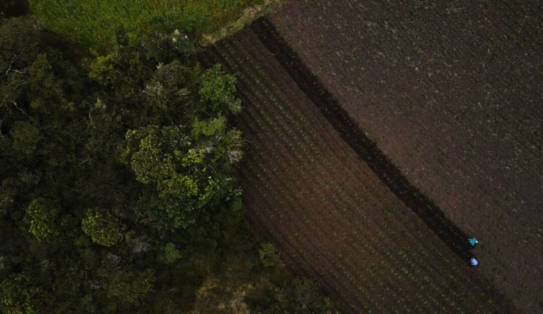 Conservación de tierras del programa PSA. Foto: Cortesía MinAmbiente. 