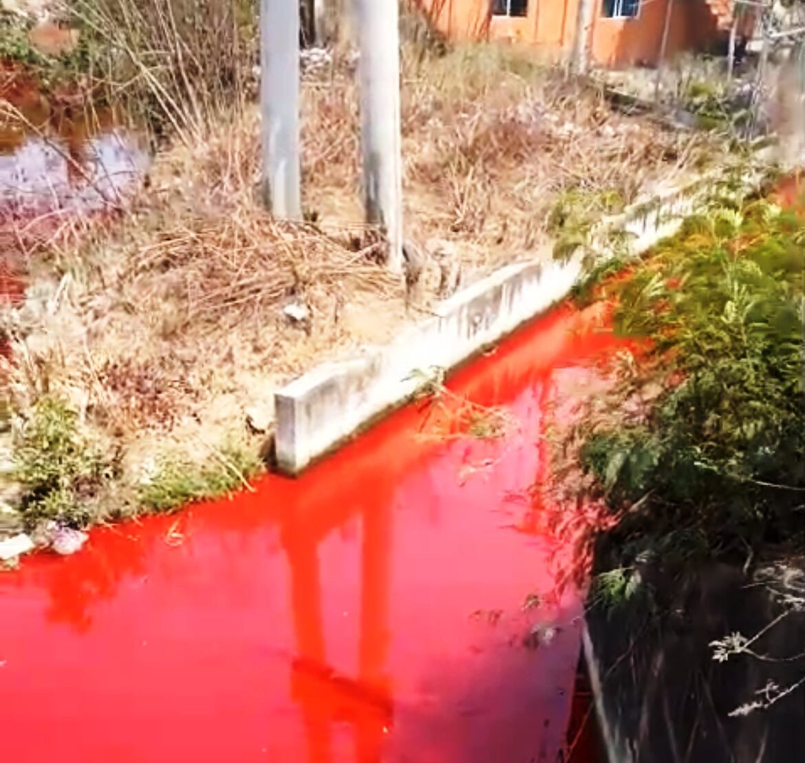 Mancha roja en canales cercanos a Contecar no representan peligro de toxicidad