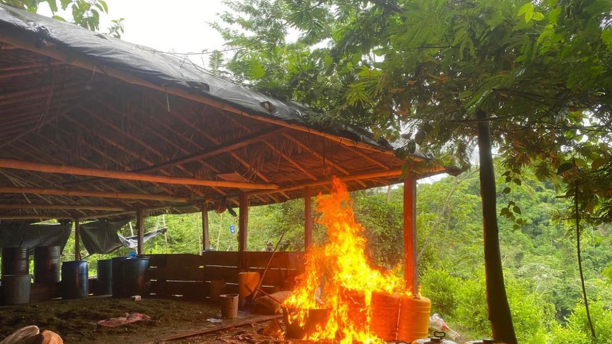 Ejército Nacional destruyó seis laboratorios para el procesamiento de coca en Tierralta, Córdoba