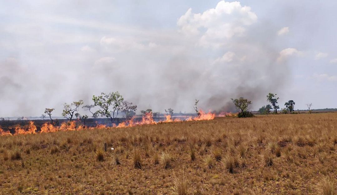 Parque Nacional Los Tuparros