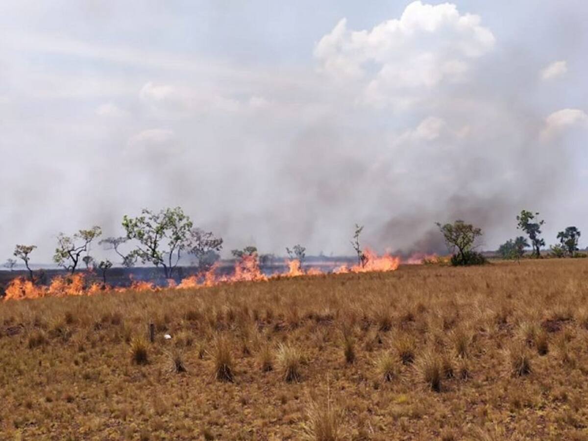 Se reactiva el incendio forestal en el parque del Tuparro