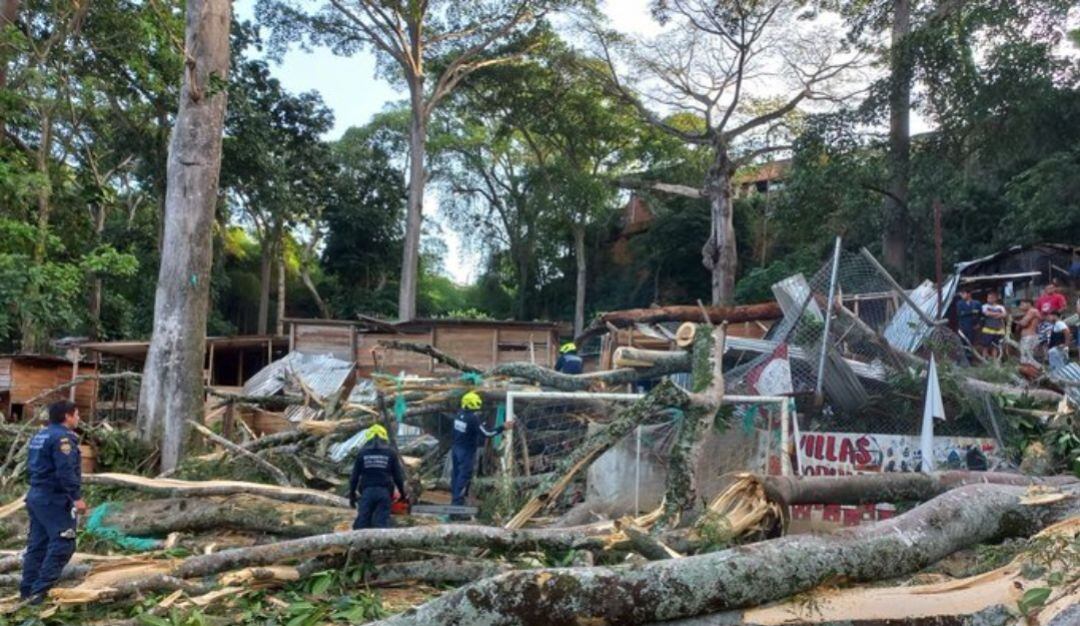 Dos muertos deja caída de un árbol en Villas de Girardot