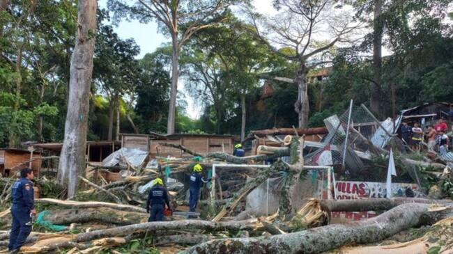 Dos muertos deja caída de un árbol en Villas de Girardot