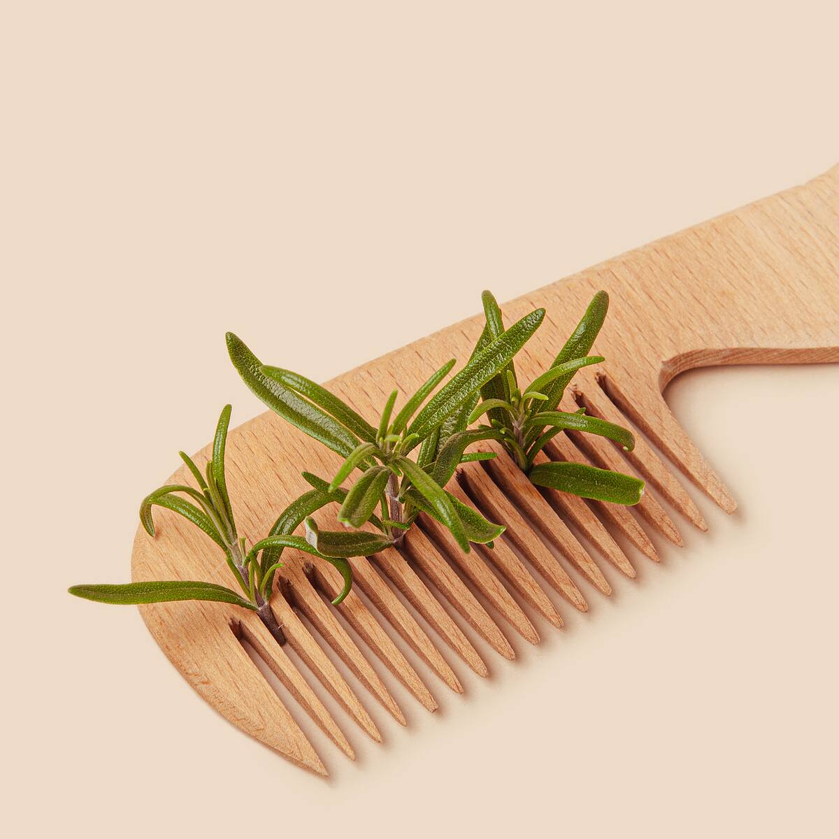 Expertos revelan tips para combatir la caída del pelo: ¿Los ingredientes naturales sí sirven?