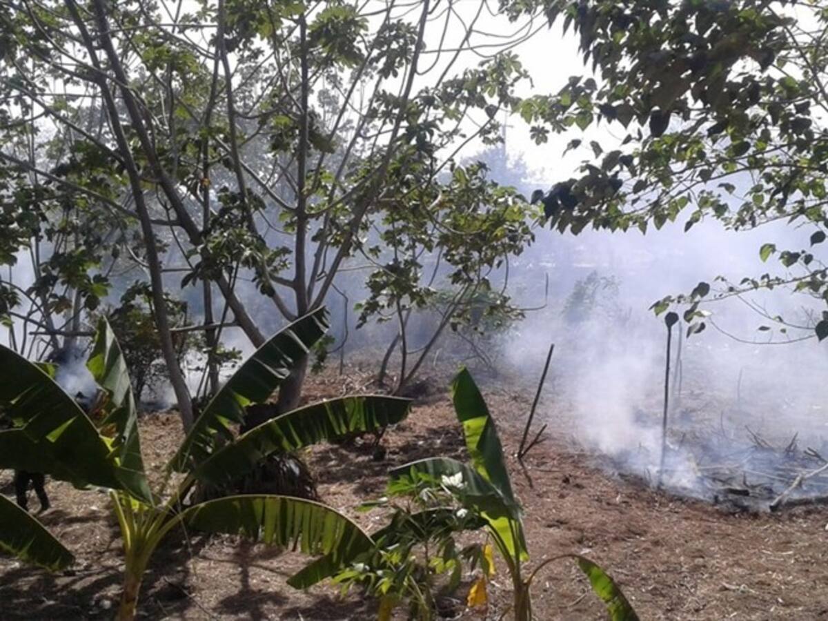 En operativo de desalojo fueron capturadas cuatro personas en la Dorada, Caldas