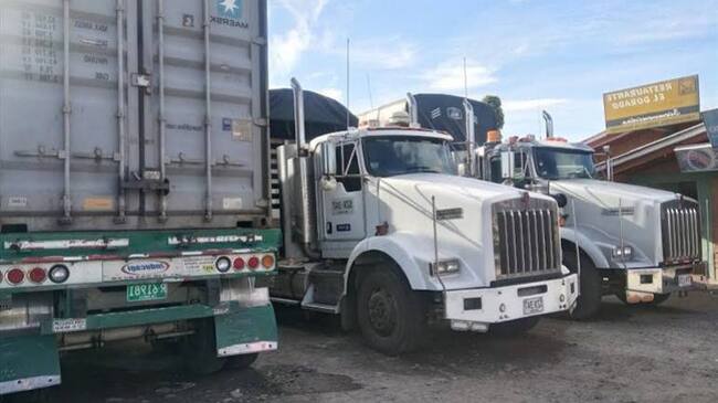 Transportadores de carga pesada