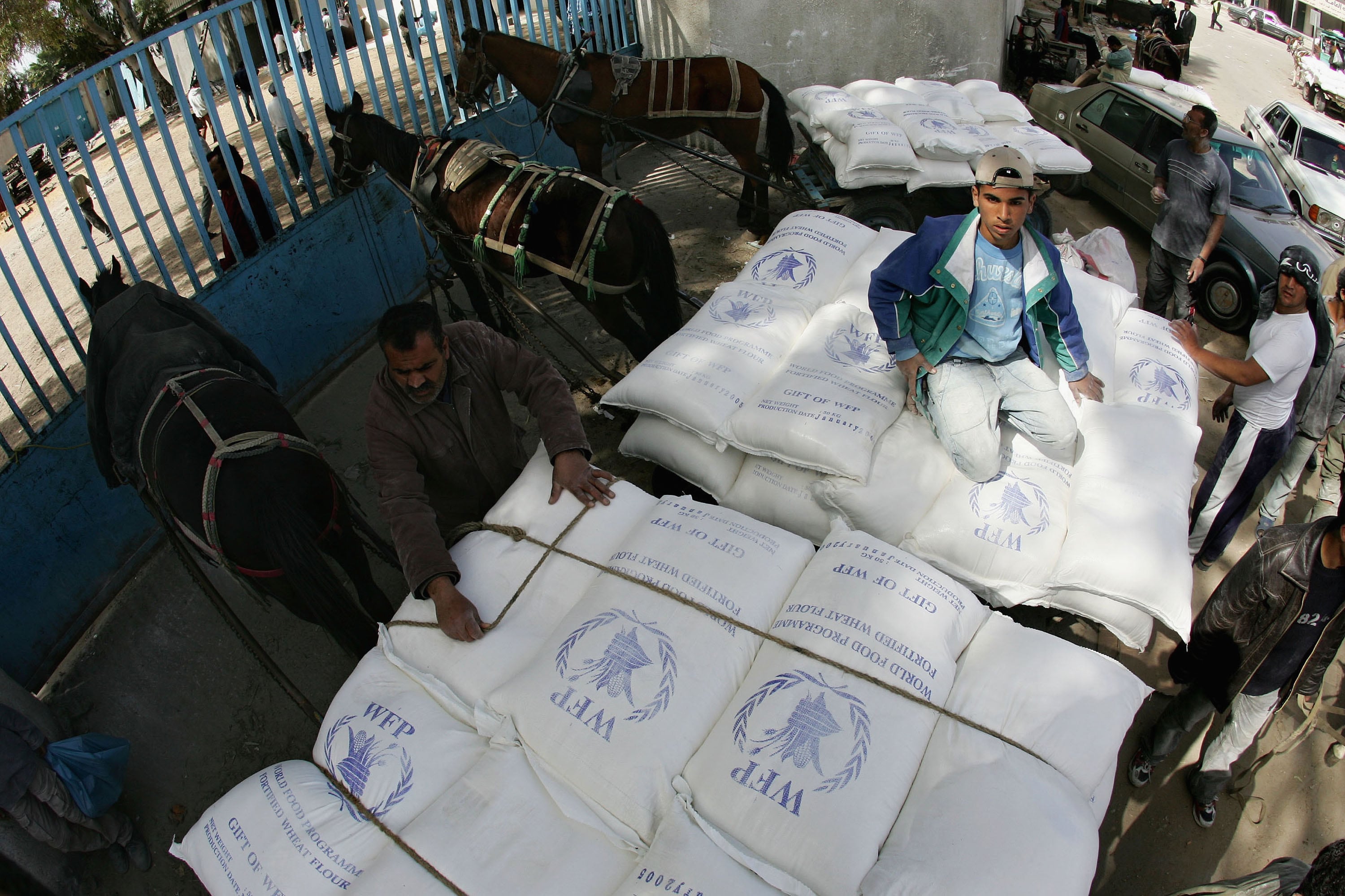Entrega de ayudas del Programa Mundial de Alimentos a Palestinos en la Franja de Gaza. 
(Foto: Abid Katib/Getty Images)