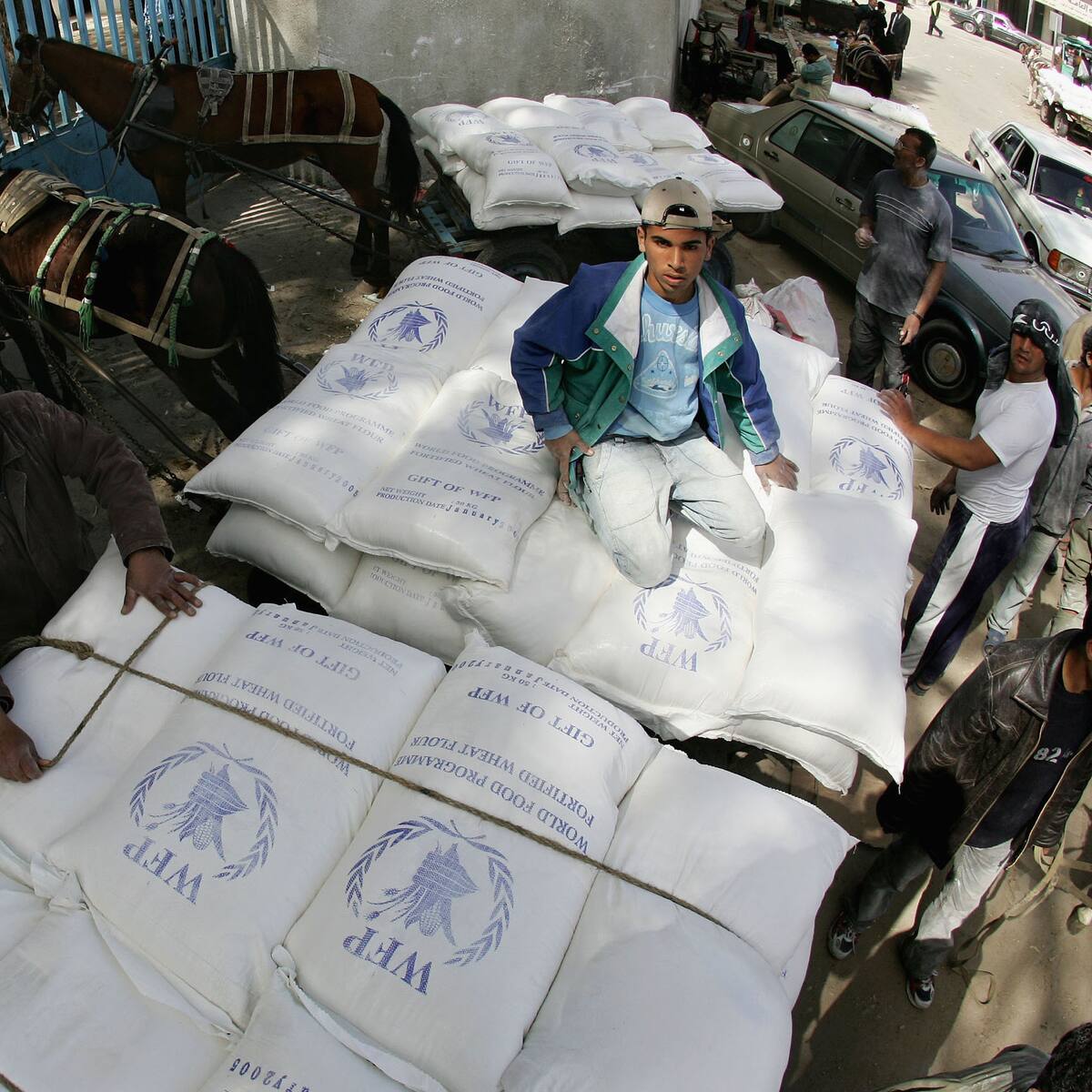 OMS pide que la ayuda humanitaria entre “todos los días” en Gaza
