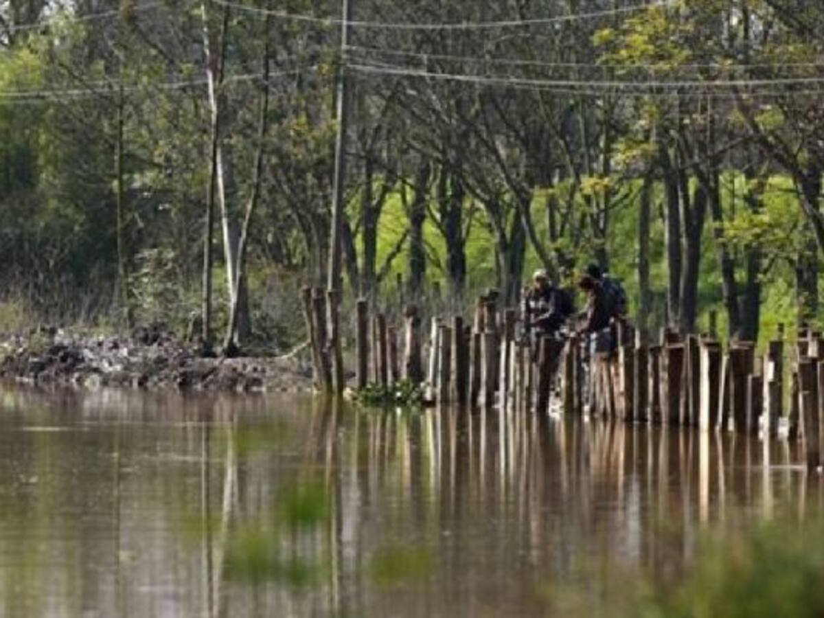 Cada hora se talan 14 hectáreas de bosque en el país