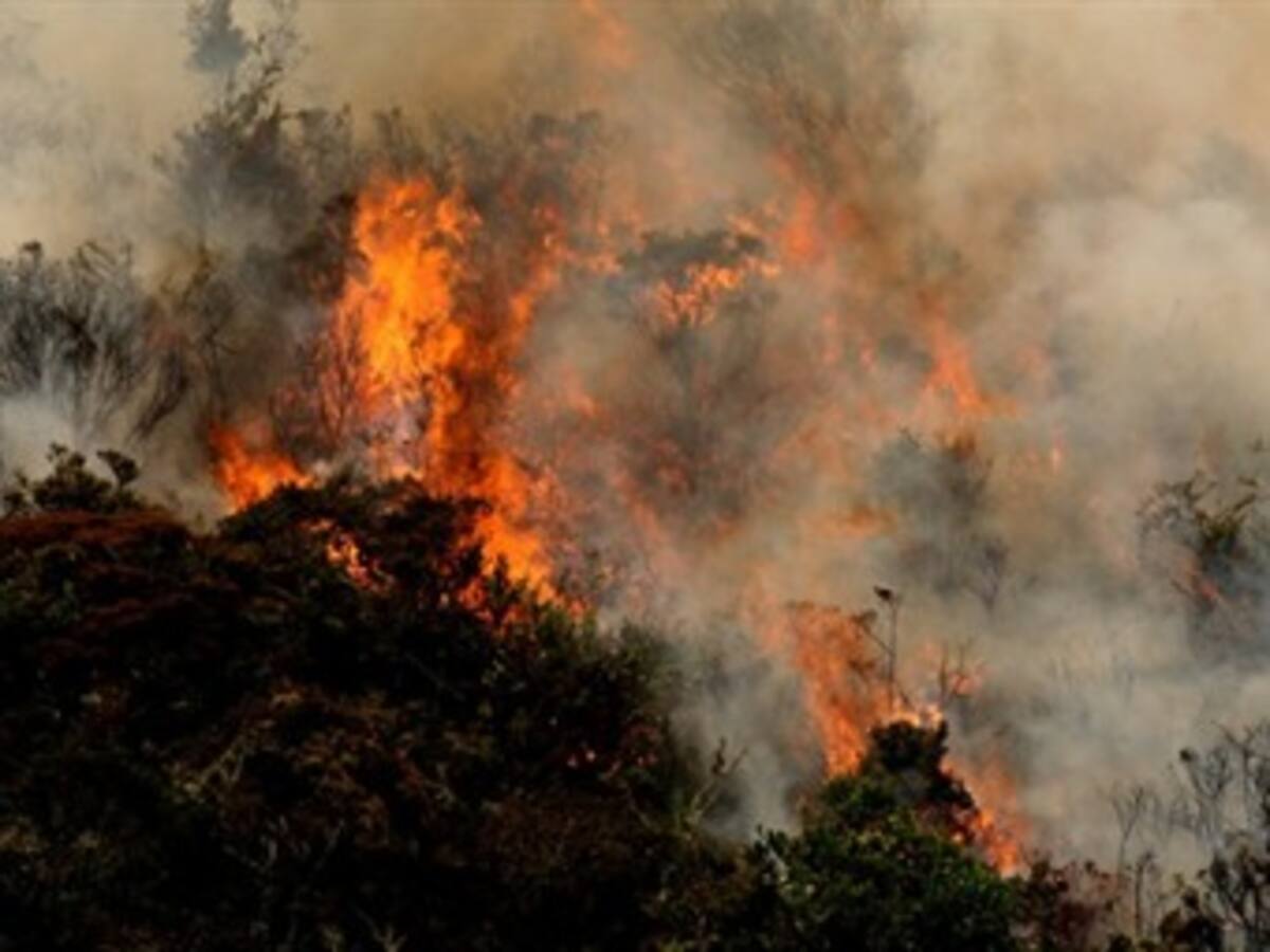 Manos criminales están tras incendios en Cundinamarca: CAR