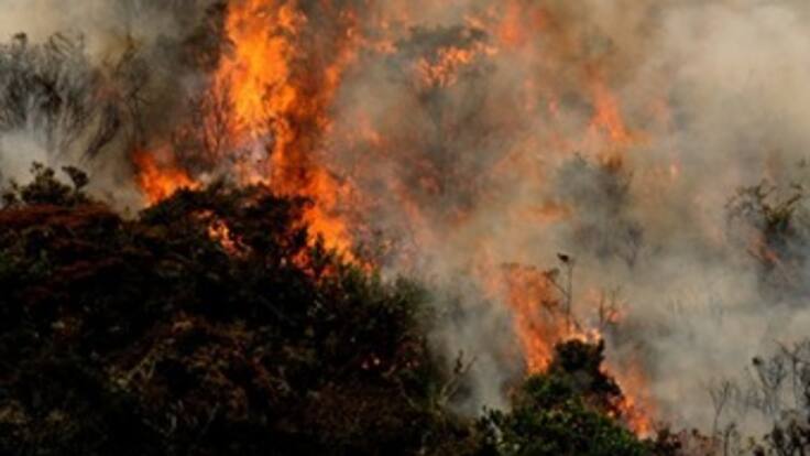 Manos criminales están tras incendios en Cundinamarca: CAR