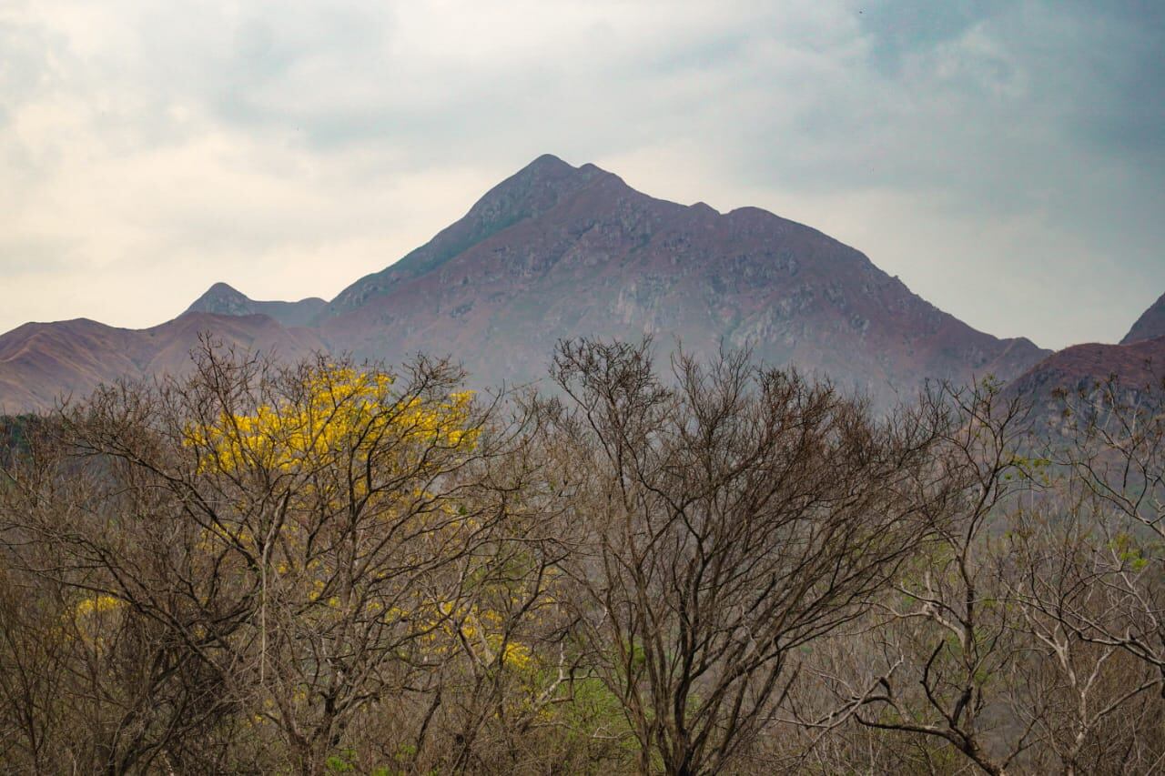 Sierra Nevada de Santa Marta . MinAmbiente