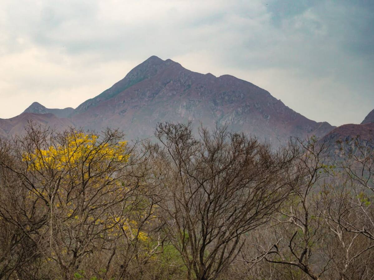 Los reparos de autoridades indígenas del Magdalena a ampliación de la Sierra Nevada