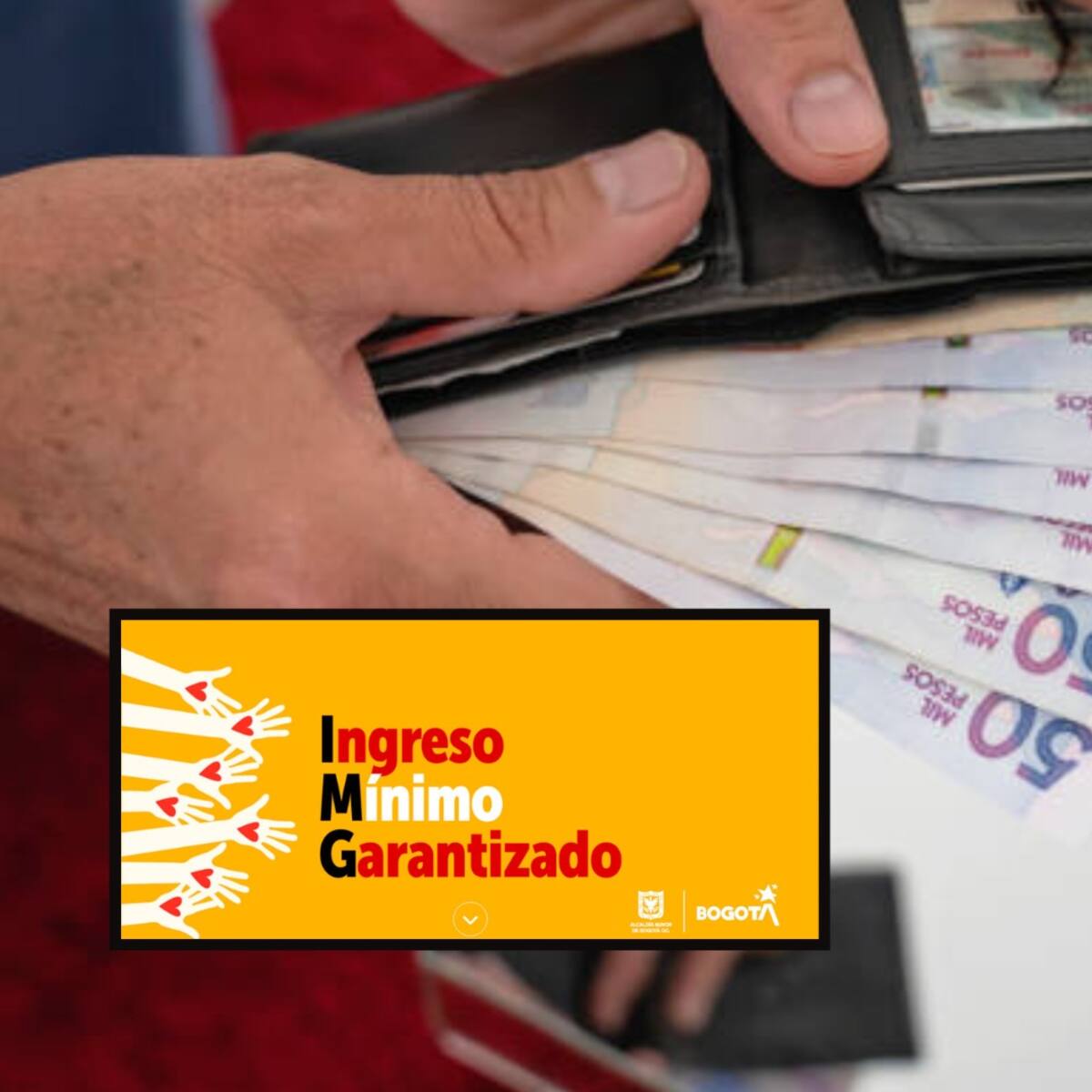 Nuevos beneficiarios de Ingreso Mínimo Garantizado por actualización del Sisbén: Consulte